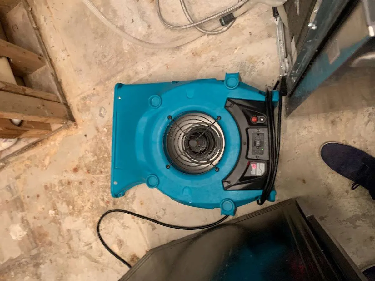 Air mover drying equipment for Mold Remediation & Removal in Kendall