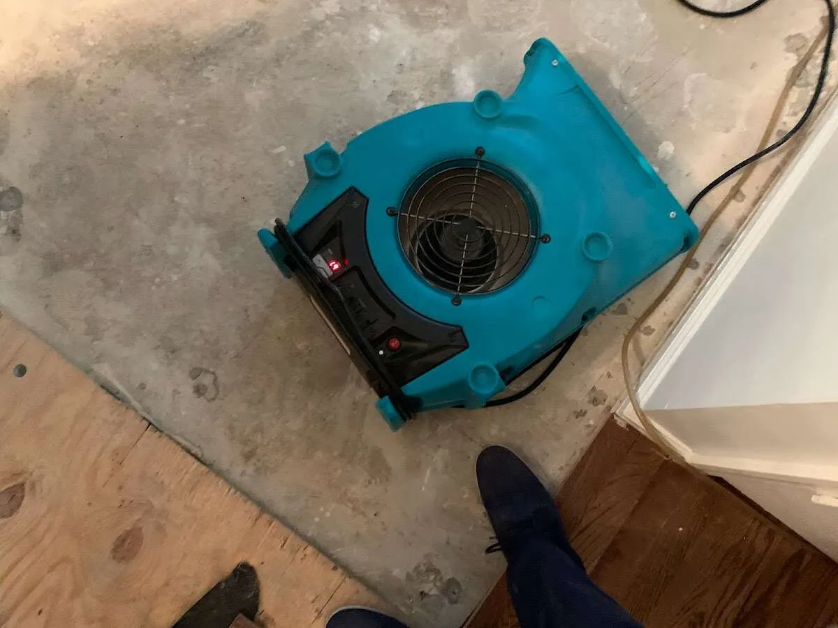 Air mover drying subfloor during Leak Detection & Repair in Kendall